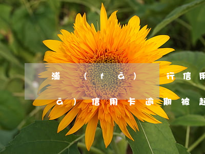 浦發(fā)銀行信用卡逾期處理(浦發(fā)信用卡逾期被起訴立案后怎么解決)