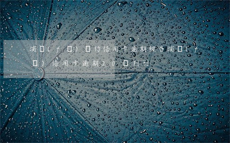 浦發(fā)銀行信用卡逾期被告(浦發(fā)信用卡逾期20萬判刑)