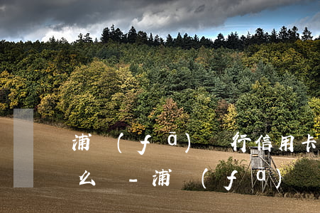 浦發(fā)銀行信用卡逾期被起訴我該怎么辦?-浦發(fā)銀行信用卡逾期被起訴我該怎么辦呢