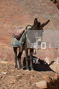 浦發(fā)銀行信用卡逾期要起訴怎么辦理 有逾期能申請浦發(fā)信用卡