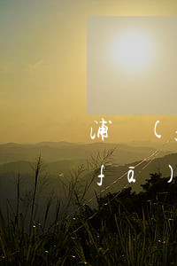 浦發(fā)銀行信用卡逾期還本金(浦發(fā)銀行信用卡 逾期)