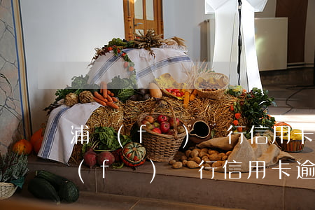 浦發(fā)銀行信用卡逾期還款利息(浦發(fā)銀行信用卡逾期還款利息)
