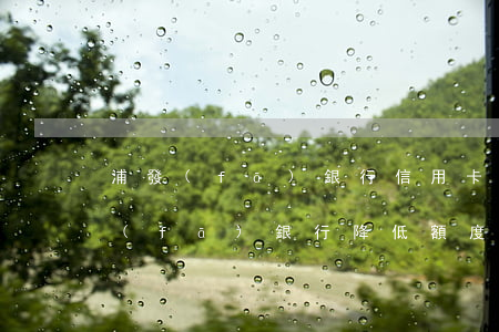 浦發(fā)銀行信用卡逾期降額度嗎(浦發(fā)銀行降低額度)