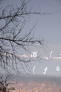 浦發(fā)銀行信用卡逾期顯示失效 浦發(fā)銀行信用卡逾期顯示失效