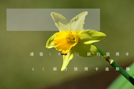 浦發(fā)銀行信用卡逾期顯示(浦發(fā)銀行信用卡逾期顯示什么信息)