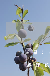 浦發(fā)銀行信用卡長期逾期怎么辦 有處理信用卡逾期的嗎