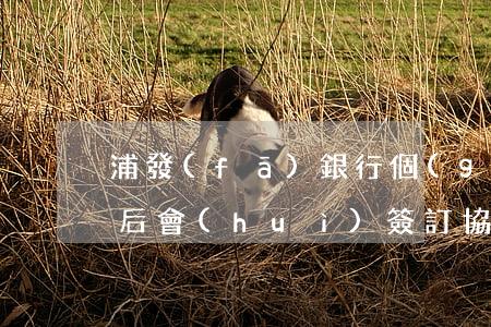 浦發(fā)銀行個(gè)性化分期成功后會(huì)簽訂協(xié)議嗎-浦發(fā)銀行個(gè)性化分期成功后會(huì)簽訂協(xié)議嗎