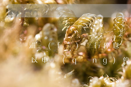 浦發(fā)銀行停息掛賬最新政策(銀行可以申請(qǐng)停息掛賬嗎)