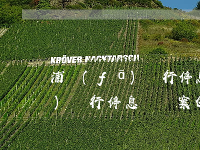 浦發(fā)銀行停息掛賬案例(浦發(fā)銀行停息掛賬案例)