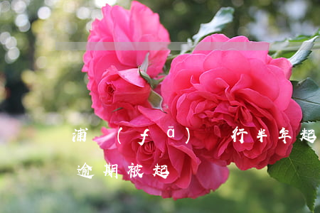 浦發(fā)銀行半年起訴（浦發(fā)卡逾期被起訴）
