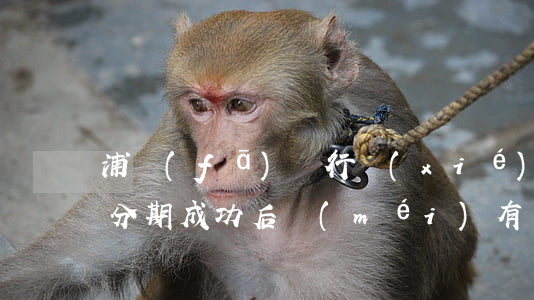 浦發(fā)銀行協(xié)商停息掛賬分期成功后沒(méi)有憑證-浦發(fā)申請(qǐng)停息分60期要證明