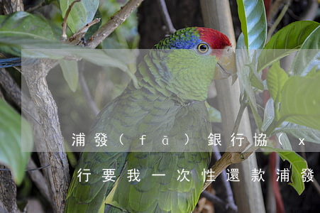 浦發(fā)銀行協(xié)商后逾期,銀行要我一次性還款（浦發(fā)協(xié)商還款后逾期怎么辦上海）