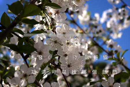 浦發(fā)銀行協(xié)商還款不成功還可以找哪個部門-浦發(fā)銀行協(xié)商還款不成功還可以找哪個部門申訴
