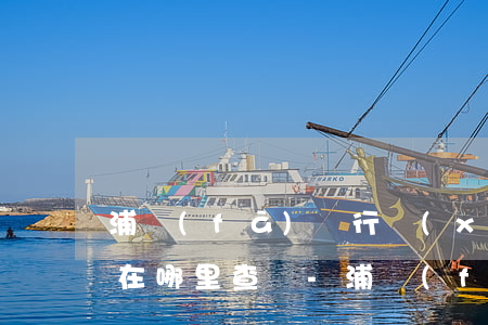 浦發(fā)銀行協(xié)商還款方案在哪里查詢-浦發(fā)銀行協(xié)商還款流程