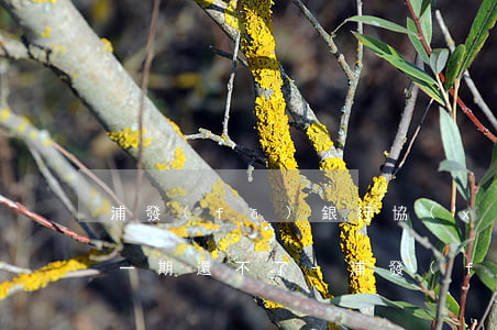 浦發(fā)銀行協(xié)商還款最后一期還不了-浦發(fā)銀行協(xié)商還款最后一期還不了怎么辦