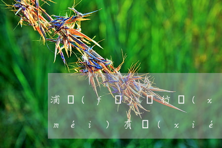 浦發(fā)銀行協(xié)商還款沒(méi)有協(xié)議靠譜嗎-浦發(fā)銀行同意協(xié)商還款但不給協(xié)議書可以嗎
