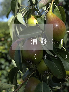 浦發(fā)銀行卡凍結(jié)了（浦發(fā)信用卡逾期銀行卡被凍結(jié)）