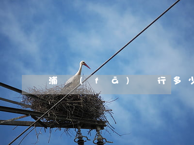 浦發(fā)銀行多少錢逾期不會上征信-