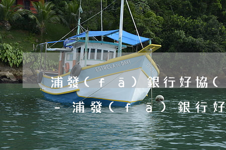 浦發(fā)銀行好協(xié)商還款嗎-浦發(fā)銀行好協(xié)商還款嗎