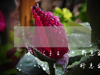 浦發(fā)銀行怎么協(xié)商-浦發(fā)銀行怎么協(xié)商還款