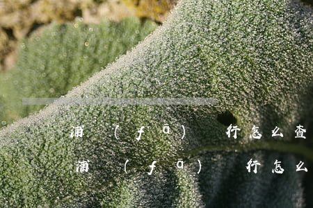 浦發(fā)銀行怎么查詢逾期記錄上海-浦發(fā)銀行怎么查詢逾期記錄上海分行