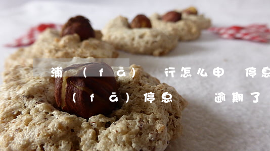 浦發(fā)銀行怎么申請停息掛賬分期（浦發(fā)停息掛賬逾期了）