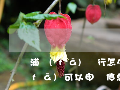 浦發(fā)銀行怎么辦理停息掛賬(浦發(fā)可以申請停息掛賬嗎)