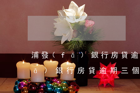 浦發(fā)銀行房貸逾期20天(浦發(fā)銀行房貸逾期三個月以上沒還怎么辦)