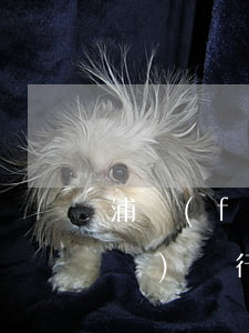 浦發(fā)銀行房貸逾期怎么還(浦發(fā)銀行逾期4天,馬上還款是否影響征信)
