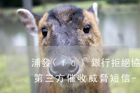浦發(fā)銀行拒絕協(xié)商還款第三方催收威脅短信-浦發(fā)銀行拒絕協(xié)商還款第三方催收威脅短信是真的嗎