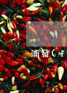 浦發(fā)銀行有逾期多久會起訴光大