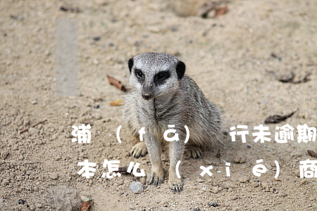 浦發(fā)銀行未逾期協(xié)商還本怎么協(xié)商-浦發(fā)銀行未逾期協(xié)商還本怎么協(xié)商呢