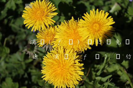 浦發(fā)銀行減免違約金和利息怎么溝通-浦發(fā)銀行減免協(xié)議