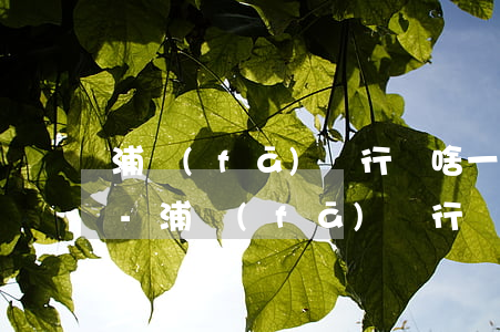 浦發(fā)銀行為啥一直起訴信用卡客戶-浦發(fā)銀行為啥一直起訴信用卡客戶呢