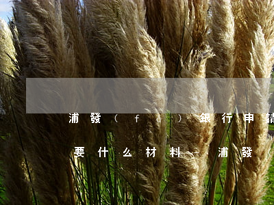 浦發(fā)銀行申請個(gè)性化分期要什么材料?-浦發(fā)銀行申請個(gè)性化分期要什么材料呢