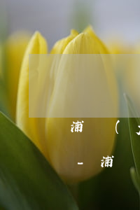 浦發(fā)銀行的浦銀點貸逾期了怎么辦-浦發(fā)銀行的浦銀點貸逾期了怎么辦理