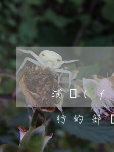 浦發(fā)銀行的部門-浦發(fā)銀行的部門結(jié)構(gòu)
