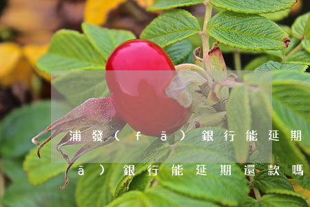 浦發(fā)銀行能延期還款嗎-浦發(fā)銀行能延期還款嗎現(xiàn)在