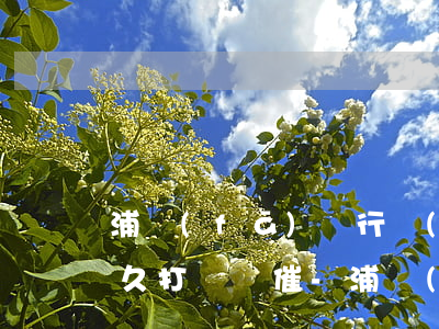 浦發(fā)銀行萬(wàn)用金逾期多久打電話催-浦發(fā)銀行萬(wàn)用金逾期多久打電話催收
