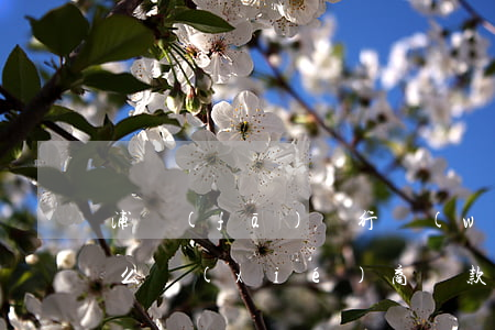 浦發(fā)銀行萬(wàn)用金逾期怎么協(xié)商還款(浦發(fā)萬(wàn)用金逾期了讓立即還款沒(méi)有錢(qián)怎么辦)