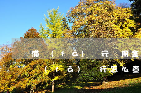 浦發(fā)銀行萬用金怎么查還欠多少(浦發(fā)銀行怎么查萬用金的還款情況)