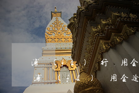 浦發(fā)銀行萬用金欠4個(gè)月(浦發(fā)萬用金逾期兩年每月都有200還款銀行起訴會怎樣)
