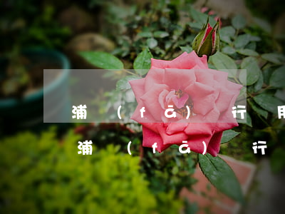 浦發(fā)銀行萬用金逾期后的違約金-浦發(fā)銀行萬用金逾期后的違約金怎么算