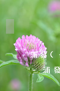浦發(fā)銀行萬用金逾期收到法院傳票-浦發(fā)銀行萬用金逾期收到法院傳票是真的嗎