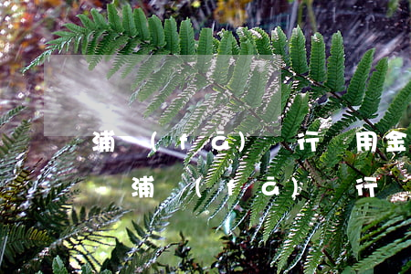 浦發(fā)銀行萬用金逾期能退回利息嗎-浦發(fā)銀行萬用金逾期能退回利息嗎多少