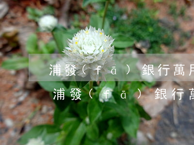 浦發(fā)銀行萬用金還款是還到哪里-浦發(fā)銀行萬用金還款是還到哪里的