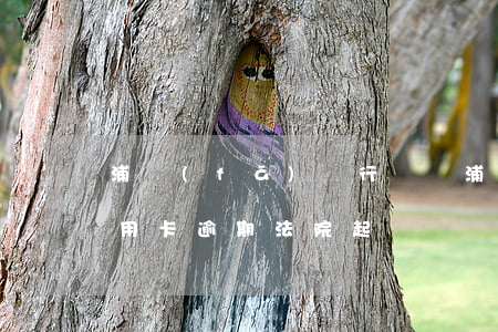 浦發(fā)銀行訴訟（浦發(fā)銀行信用卡逾期法院起訴）