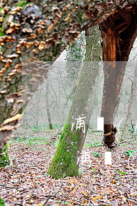 浦發(fā)銀行貸款逾期9個(gè)月(浦發(fā)銀行房貸逾期三個(gè)月以上沒還怎么辦)