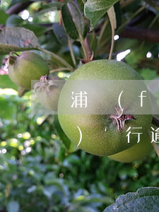 浦發(fā)銀行貸款逾期利息(浦發(fā)銀行逾期多久報人民銀行金融信用信息)
