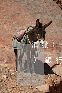 浦發(fā)銀行貸款逾期征信(浦發(fā)銀行信用卡有逾期怎么辦)